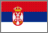 Click to see dogs in Serbia