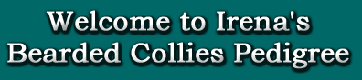 Welcome to Irenas Bearded Collies Pedigree
